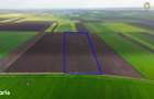 Teren cu potential 6,9 ha in Munar