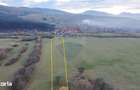 Teren 5.800 mp Purcareni curent, gaz, apa / Strada 30 decembrie