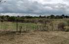 Vand teren in Corbu 1000m2