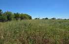 1 Decembrie - Teren intravilan,2331mp,plan constructie existent. - 4