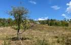 Teren Vulcana Sat 1566 m intravilan Negociabil - 4