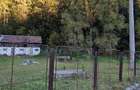 Teren de vanzare intravilan Voineasa - 1