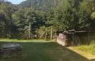 vand apartament in loc Bumbesti jiu MERI - 4
