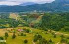 Teren intravilan 2,410mp Rasnov - Valea Panicelului, vedere panoramica - 10