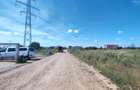 Teren intravilan,orasul Pantelimon,strada Plantelor si Gradinarilor - 6