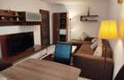 AP. 2 CAMERE TEI RENOVAT, MOBILAT/UTILAT MODER, BUCATARIE INCHISA. - 4