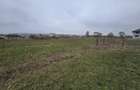 Vand teren Livezile Stadion - 1
