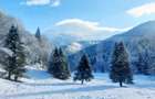 Teren exceptional de vanzare, 5170 mp zona Plaiul Foii, Zar - Zarnesti (Brasov)