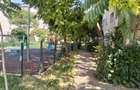 Inchiriez apartament Aradul Nou - 3