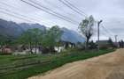 Teren Busteni str. Ana Ipatescu, suprafata 2.675 mp, asfalt, utilitati - 4