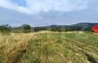 Teren extravilan, de vanzare, 6500 mp, zona Crasnei - 2