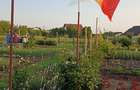 Teren Intravilan 470 mp – Horlești, Comuna Rediu (Proprietar) - 1