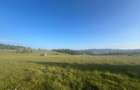 50 hectare teren | Moldova-Sulita | Potential turistic si agricol