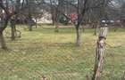 Teren intravilan de vanzare | 1952 m2 | Maramures | Viseu de Sus | Cartier: Tipterai - 7