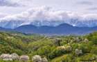 7.000 mp, pozitie spectaculoasa, fara vecini, Fundatica, Brasov - 2