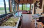 Casa cu teren si doua pastravarii in Fantana Mare - 20