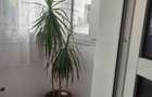 Apartament 2 camere de inchiriat,zona Rahova