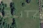 Exclusivitate - Teren intravilan, 10,000 mp - Colibita