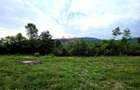 Teren Intravilan, utilitati in zona, 2600 mp, Draganeasa, Prahova - 4