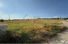 TEREN DE VANZARE | INTRAVILAN | 1638 MP | BEIUS - 2
