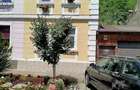 Casa de vanzare din caramida cu toate utilitatile. va puteti muta imediat. - 4