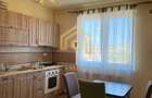 Apartament de inchiriat 2 camere Drumul Petrestiului, Sebes - 6