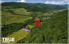 Teren intravilan 2.800 m2 in Campu Ceta?ii lini?te ?i natura - 19
