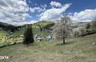 Teren 1.29 ha + 1 ha padure, acces u?or - 2