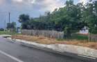 Vand 3600 mp, teren intrav. situat in sat Gruiu, Cateasca, Arges, cu casa veche, la 90 km Bucuresti - 1