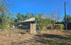 Casa si teren-Com Tamadau Mare, jud. Calarasi - 5