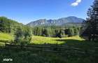 Teren intravilan - Trei Brazi, Predeal - 2