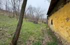 Teren 2.038 mp + Casa 50 mp de vanzare Sat Luncsoru, C - Craiova (Dolj) - 10