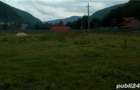 Teren de 2000 mp, în Rucăr