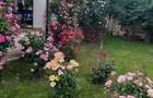 Vila superba in stil mediteranean Saftica- Corbeanca- COMISION 0.