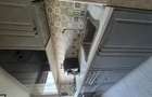 3 camere, Livada cu Nuci, Ozana - 4