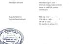 Vand casa 5 camere, cu teren 933 mp, langa Sc George Cosbuc, Ploiesti - 8