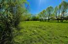 Teren de vanzare, 1300 mp, zona suburbana CISNADIE - 2