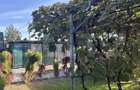 Casa de vanzare, 53.90 mp, teren 1000 mp, zona Bunesti