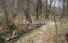 Teren intravilan 6.500 m2Deschidere 144 ml drum european E81, km 35, Moraresti