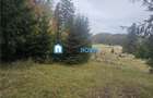 Teren intravilan Poiana Brasov