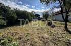 Casa cu potential de investitie in centrul satului 1540 mp teren - 12