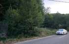 Teren Intravilan cu Utilitati la Strada si Padure in Spate Padurea Neagra, Bihor - 4
