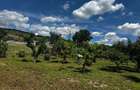Casă cu 2 camere cu Teren 1800 Mp în Slava Rusă - 3
