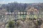 Apartament 2 camere Sud - 7