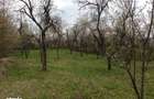 Teren de 10600 mp, în Dăești - 5