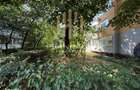 Garsoniera , Cosbuc zona Carrefour , parter - 1