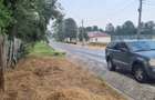 Vand 3600 mp, teren intrav. situat in sat Gruiu, Cateasca, Arges, cu casa veche, la 90 km Bucuresti - 8