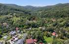 Teren Intravilan 8.277 mp Provita de Jos Utilitati, Rau & Padure - 1