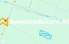 Teren Intravilan de vanzare Magurele 5000mp | ApexImobiliare.ro