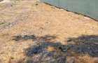 Teren 3000 mp Constanta zona sere - 1